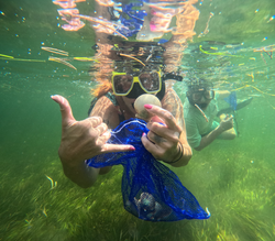 Scalloping fun in Crystal River's waters!